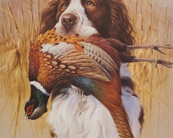James Killen Springer Spaniel Pheasant Hunting Art Print