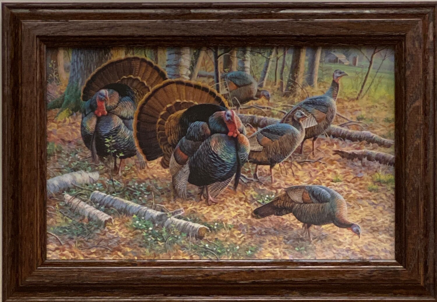 Wild Turkey Feathers Art Print 