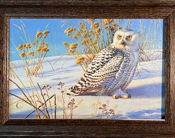 Cynthie Fisher Snowy Owl Art Print-Framed 14.5 x 10.5