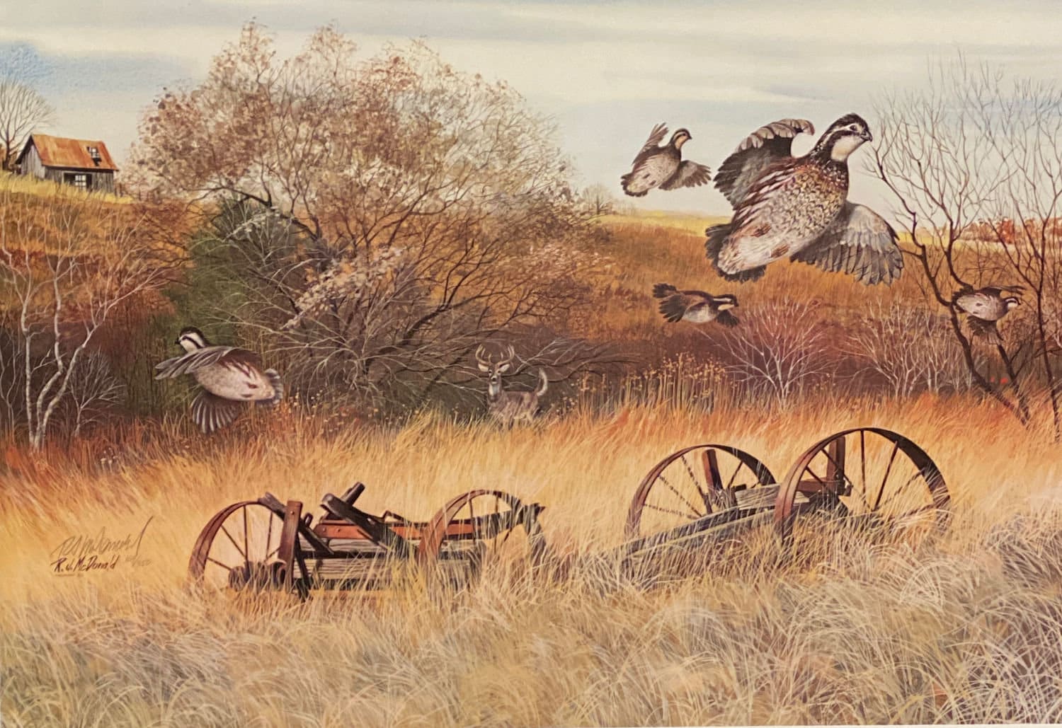 Golden Days by R.j.mcdonald Bobwhite Quail Art Print S/N With Cert  24.5x16.5 - Etsy
