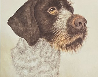 Carl Melichar S/N Hunting Dog Print German Wirehaired Pointer (9.5"x12"