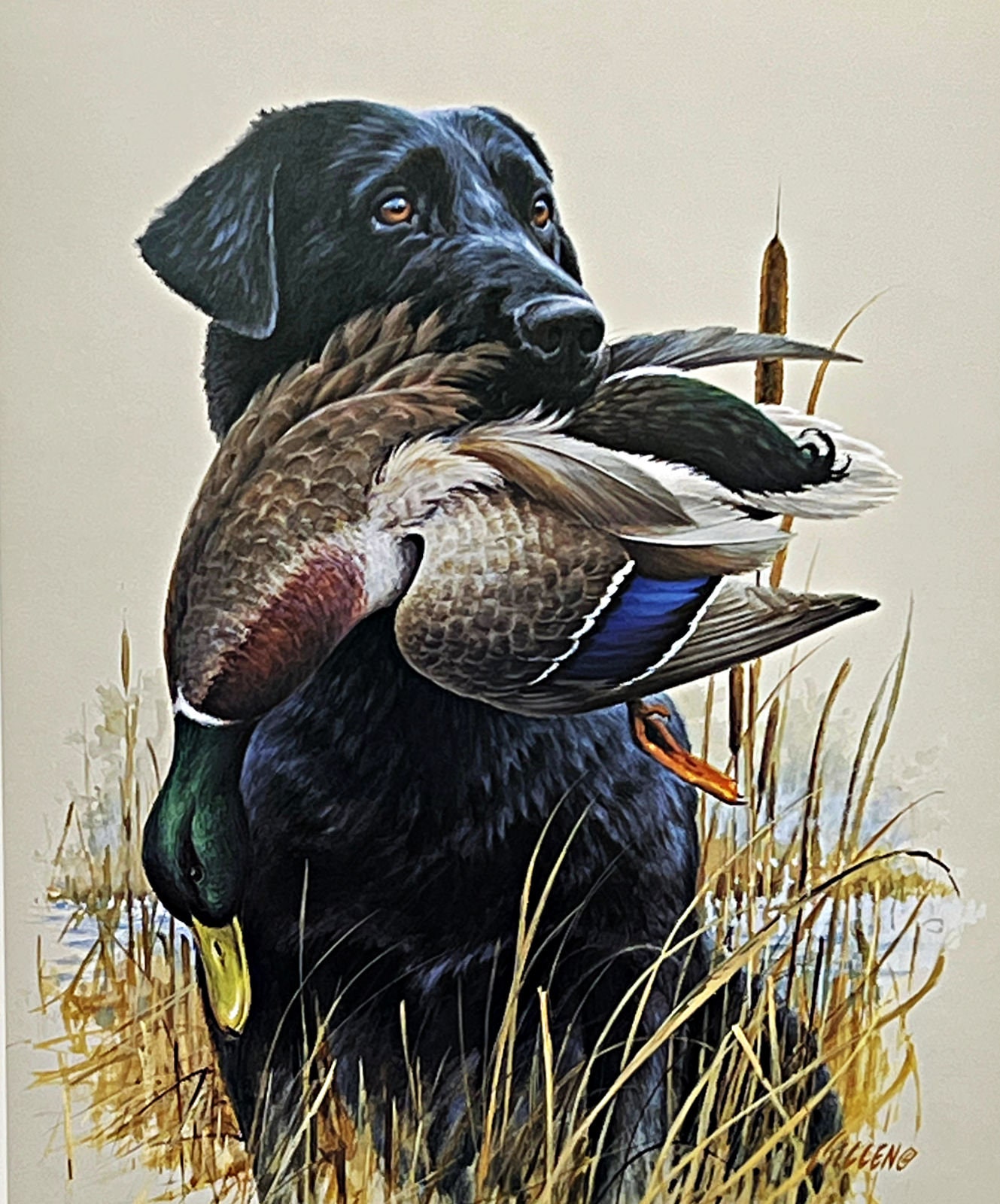 Jim Killen Sporting Dog Art Print in the Marsh Black Lab (15.5