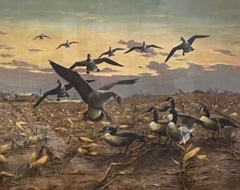 Les Kouba The Picked Field Canadian Geese farm Cornfield A/P Art Print 24 x 17