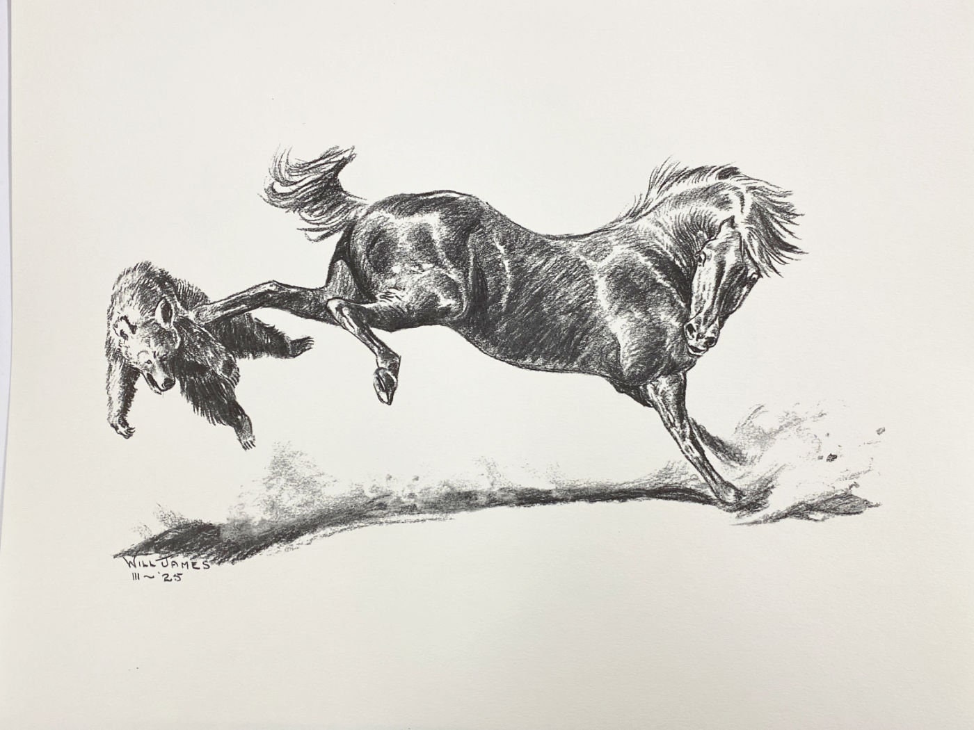 Will James Who's Boss Horse and Bear Art Print 14 X 11 Etsy