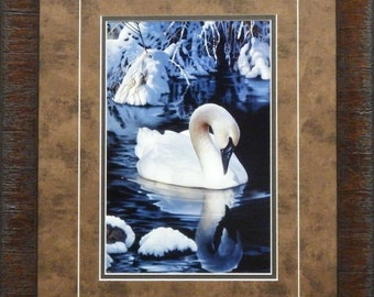 Jerry Gadamus "Winter Reflections" Swan Print-Framed 17 x 21