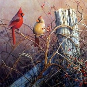 May include: Two cardinals perched on branches, one red and one yellow, against a backdrop of a weathered wooden fence post and a blurred background of brown and green foliage.
