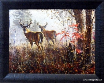 Jim Hansel Double Vision Deer  Studio Canvas Framed Print- 19'' x 15''