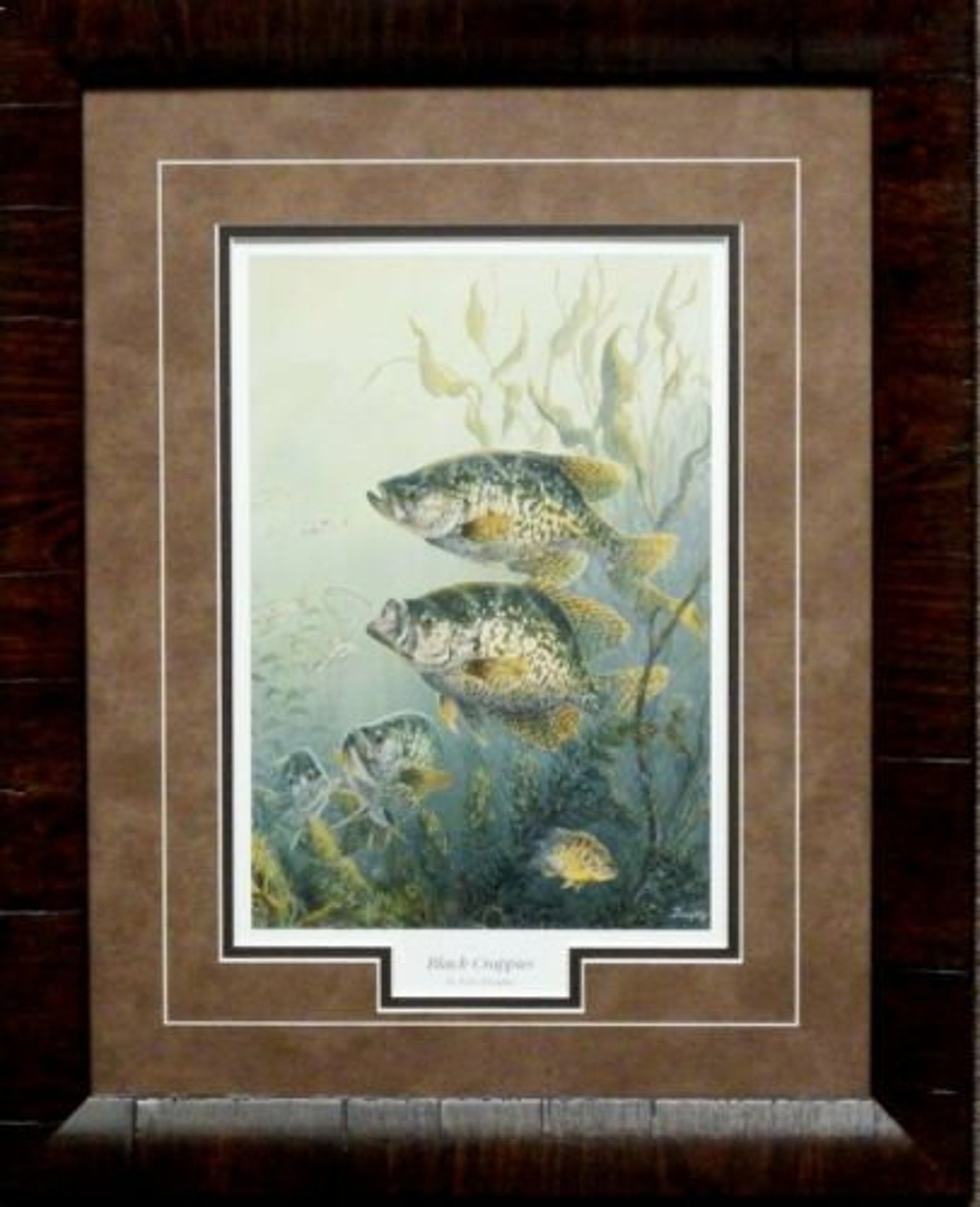 Terry Doughty Black Crappies Fishing Art Print-framed 12 X 21 - Etsy