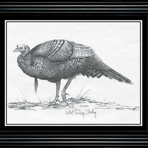Terry Redlin Turkey Pencil Sketch-Framed 11.5 x 9.5