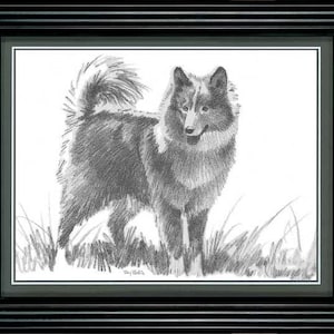 Dog Pencil Sketch by Terry Redlin Framed Print