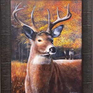 Kevin Daniel Deer Buck Art Print-Framed 15 x 19