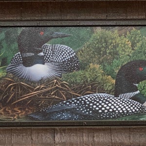 Jerry Gadamus Morning Stillness Loon Art Print-Framed 27.5 x 13.5