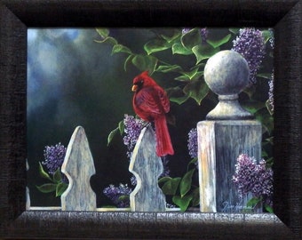 Jim Hansel Birds Eye View Cardinal  Studio Canvas-Framed 19 x 15