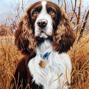 James Killen That&#39;s My Dog Too-Springer Spaniel-Signed 13&quot; x 15.5&quot;