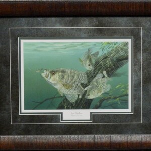 Randy McGovern Tree Dwellers Crappie Fishing Art Print-Framed 21 x 17