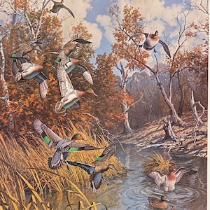 Harry Curieux Adamson Juggling Act-Green Wing Teal S/N Art Print