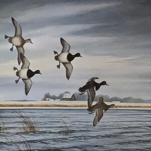 Carl Melichar Ringbills on the Back Lake S/N Duck Art Print-Image Size 15.5 x 11.5