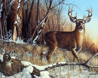 Jim Hansel Resting Place Deer Buck Print  18 x 10.5