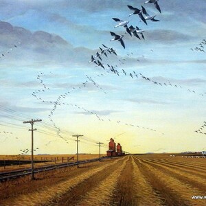 Les Kouba Headin For the Stubble Snow Goose Artist Proof Print