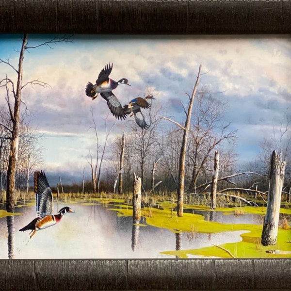 Jim Hansel Backwater Woodies Art Print  Framed Studio Canvas 19" x 15"