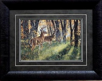 Andrew Kiss Undercover Deer Print-Framed 19 x 15