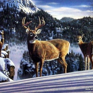 Kim Norlien Morning View Deer Buck Art Print