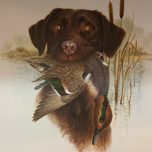 James Killen Chocolate Labrador Duck Hunting Art Print 14.5 x 18