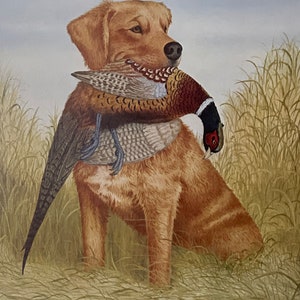 Carl Melichar April Golden Retriever with Pheasant S/N art print 12 x 15