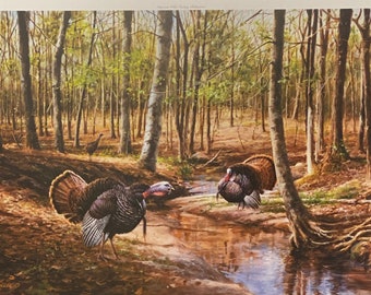 Op de afbeelding: Een schilderij dat twee wilde kalkoenen in een bosrijke omgeving toont. De kalkoenen staan ​​tegenover elkaar, hun veren zijn opgeschud, in een bos met bomen en een klein beekje. Het schilderij is uitgevoerd in een realistische stijl.