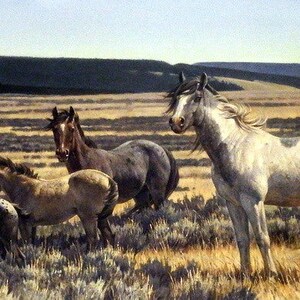 May include: A painting of a herd of wild horses in a grassy field. The horses are brown, black, and white, and they are running and standing in a variety of poses. The background is a blue sky with white clouds.