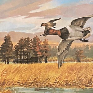 R.J. McDonald Down the alley S/N Duck Hunting Art Print 25.25x16.75