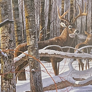 Chris Kuehn Northwoods Legend Deer Buck Art Print 21.5 x 13.5