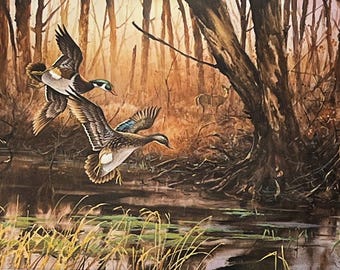 Wood Duck #1 PRINT - Etsy
