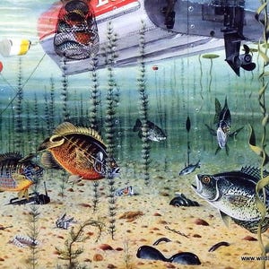 Les Kouba Panfishin Signed/Numbered Print 17.75&quot; x 13.25&quot;