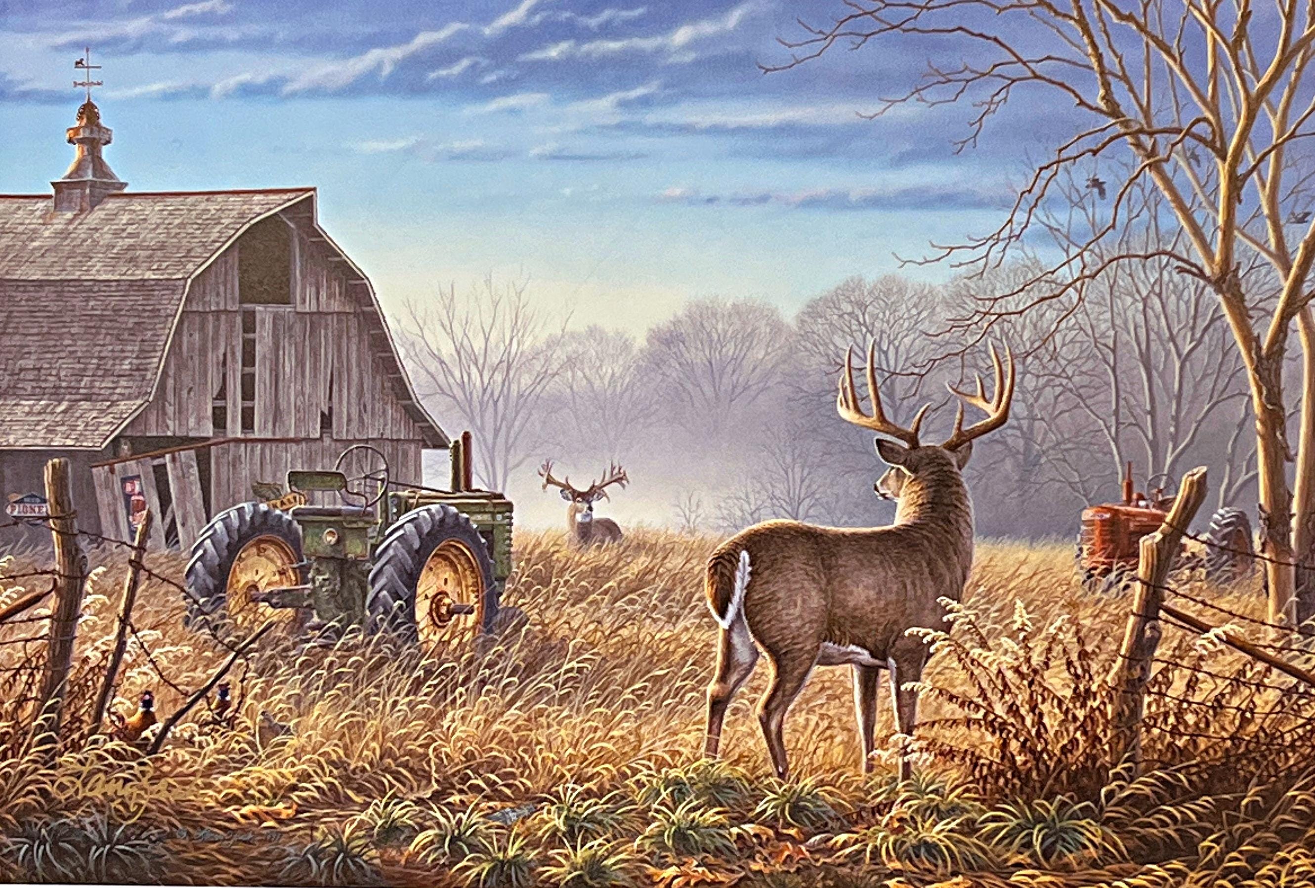 ✨️【希少】ELF SACK 絵画デザインオーバーサイズジャケット ✨️ Broken Solitude - Whitetail – Larry Zach Wildlife Art