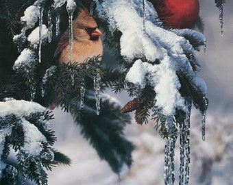 Russell Cobane Nature's Jewels Cardinal in the snow Art Print 12 x 16