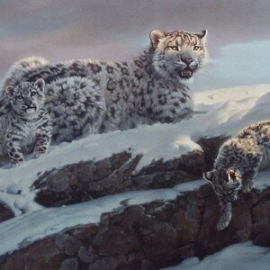 Nancy Glazier Lucky Number Snow Leopards SN Print  35.75 x 18