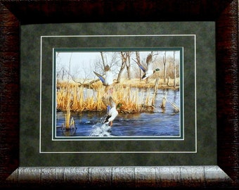 Richard Plasschaert Backwater Mallards Art Print-Framed