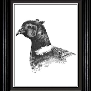 Terry Redlin Pheasant Pencil Sketch Framed - 9.5 x 11.5