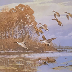 Lee LeBlanc Pintails Duck Print Autumn Flight (19&quot;x14&quot;)