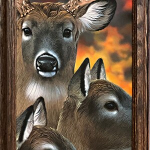 Jerry Gadamus Trio Deer Buck Art Print-Framed 12.5 x 26.5