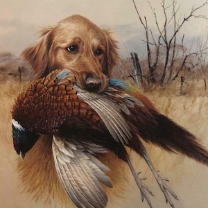 Jim Killen In The Field Golden Retriever With Pheasant S/N Art Print
