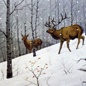 Les Kouba Elk Headin Down S/N Print