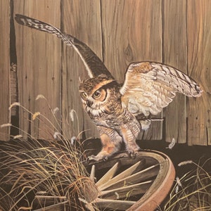 R.J. McDonald The Big Wheel Owl Art Print 20 x 24