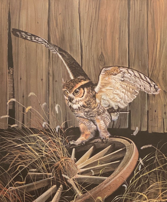R.J. McDonald The Big Wheel Owl Art Print 20 x 24