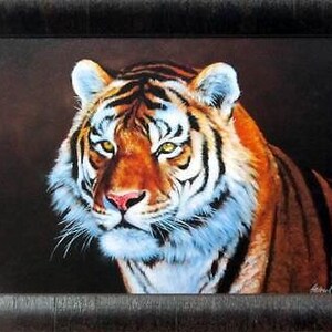 Siberian Tiger by Edward Aldrich Framed Art Print 19&quot;x 15&quot;