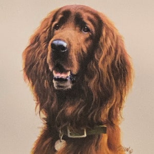 Jim Killen Irish Setter S/O CE (9x6.5)