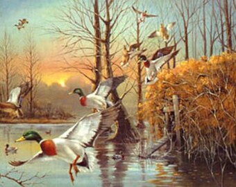 R.J.Mcdonld S/N Take Em Mallards Hunting Art Print 24 x 16