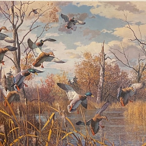 Harry Curieux Adamson October Interlude Mallards S/N Art Print