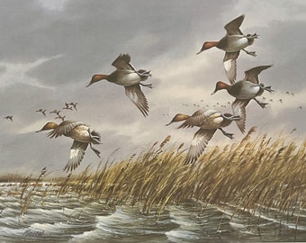 James Killen Rough Water Cans Duck Art Signed Print 25 x 18